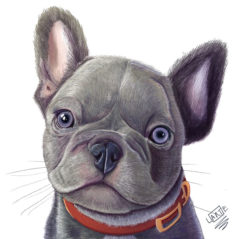 Mi proyecto del curso: Retratos de Mascotas en Lápices de Colores 4