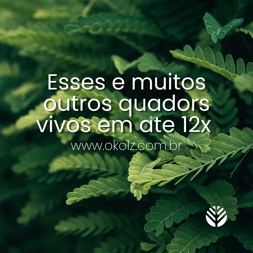 Meu projeto do curso: Design de feed para Instagram com Canva 5