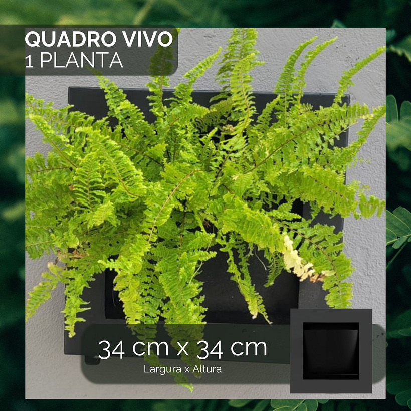 Meu projeto do curso: Design de feed para Instagram com Canva 6