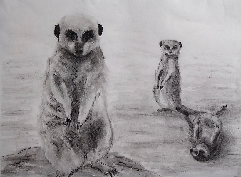 My project for course: Animal Illustration with Charcoal and Ink 4