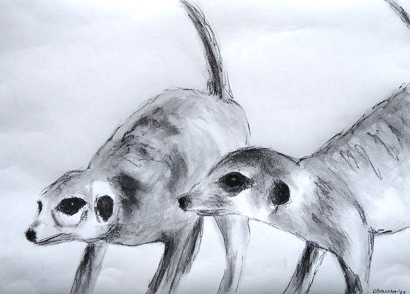 My project for course: Animal Illustration with Charcoal and Ink 3