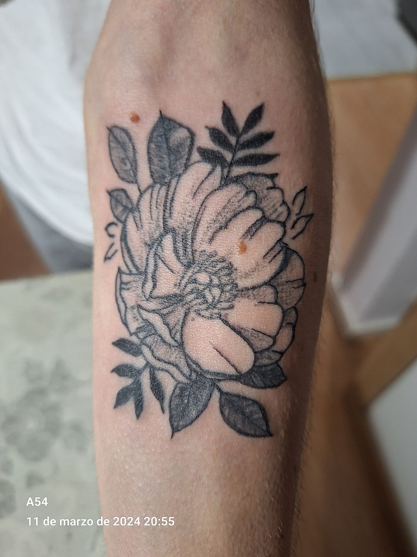 Mi proyecto del curso: Tatuaje para principiantes 4