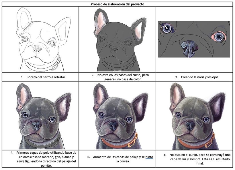 Mi proyecto del curso: Retratos de Mascotas en Lápices de Colores 2