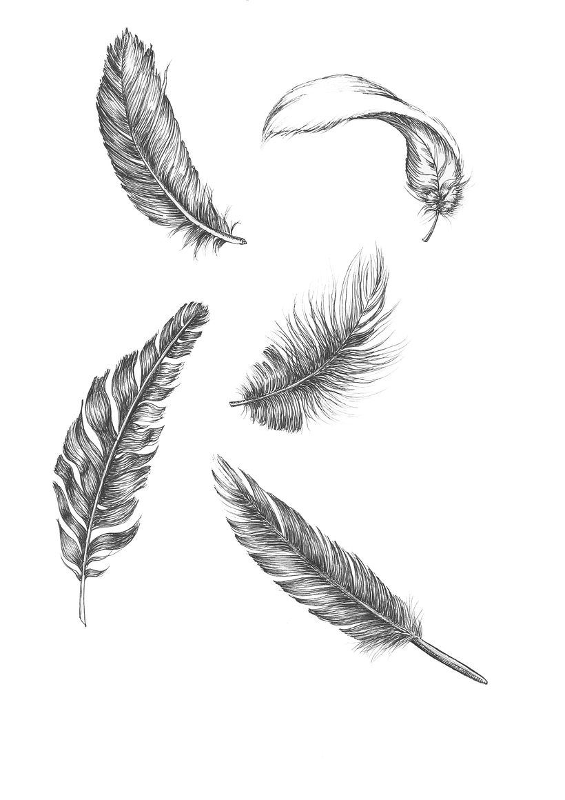 Ink drawings 2