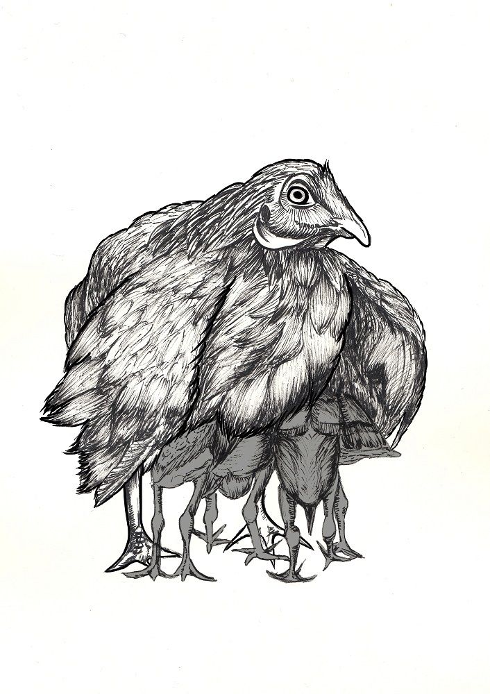 Ink drawings 3