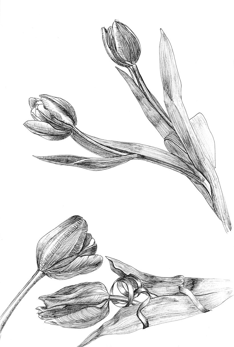 Ink drawings 8
