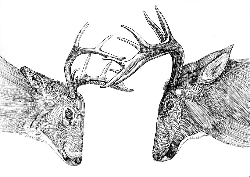 Ink drawings 9