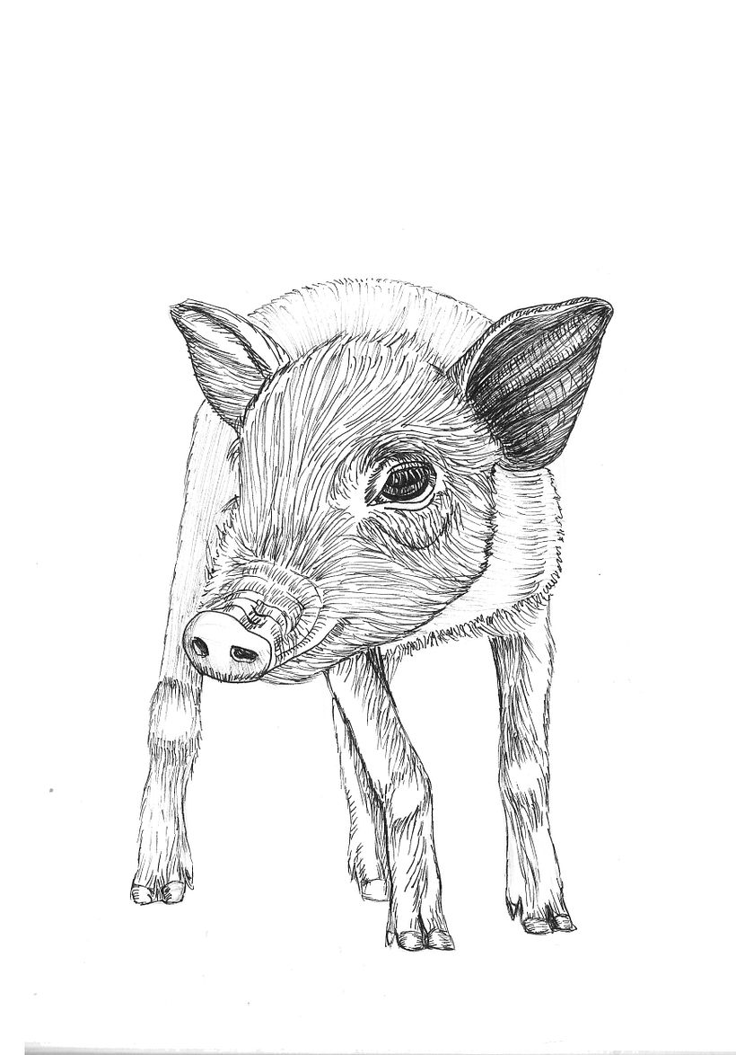 Ink drawings 11