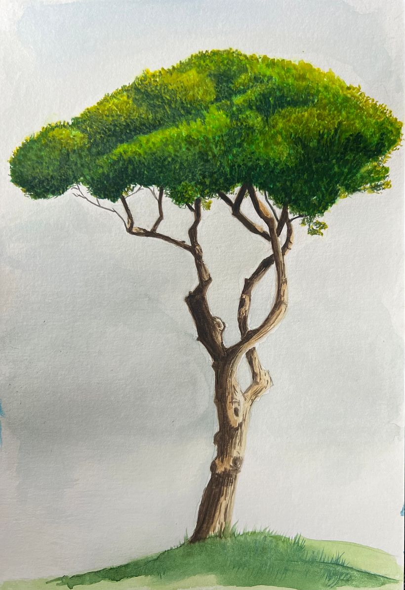 My project for course: Watercolor Painting: Explore Dry Brush Techniques 1