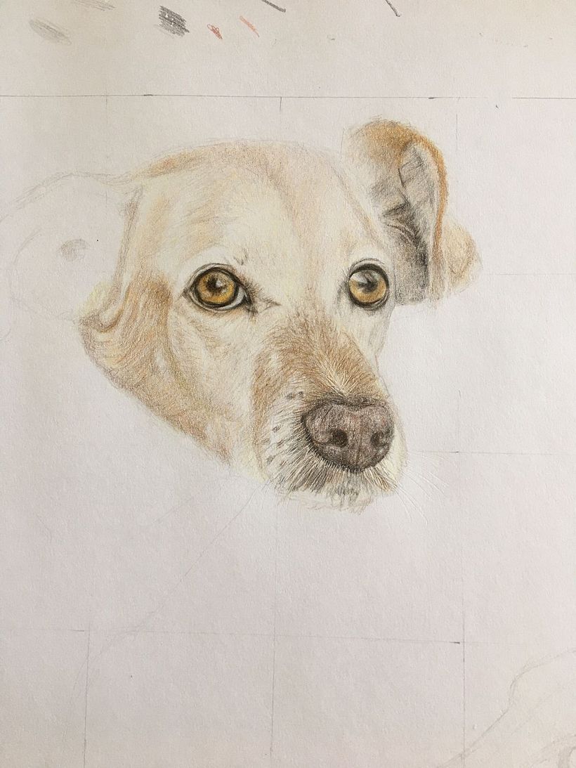 Mi proyecto del curso: Retratos de Mascotas en Lápices de Colores 2
