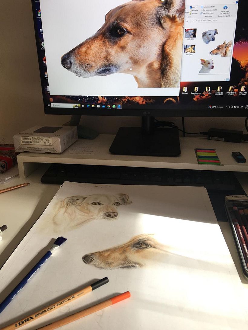 Mi proyecto del curso: Retratos de Mascotas en Lápices de Colores 5