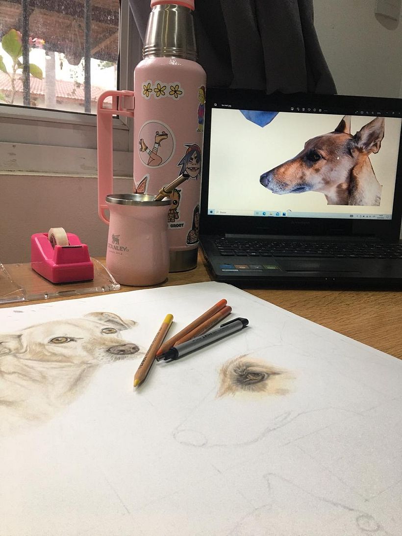 Mi proyecto del curso: Retratos de Mascotas en Lápices de Colores 6