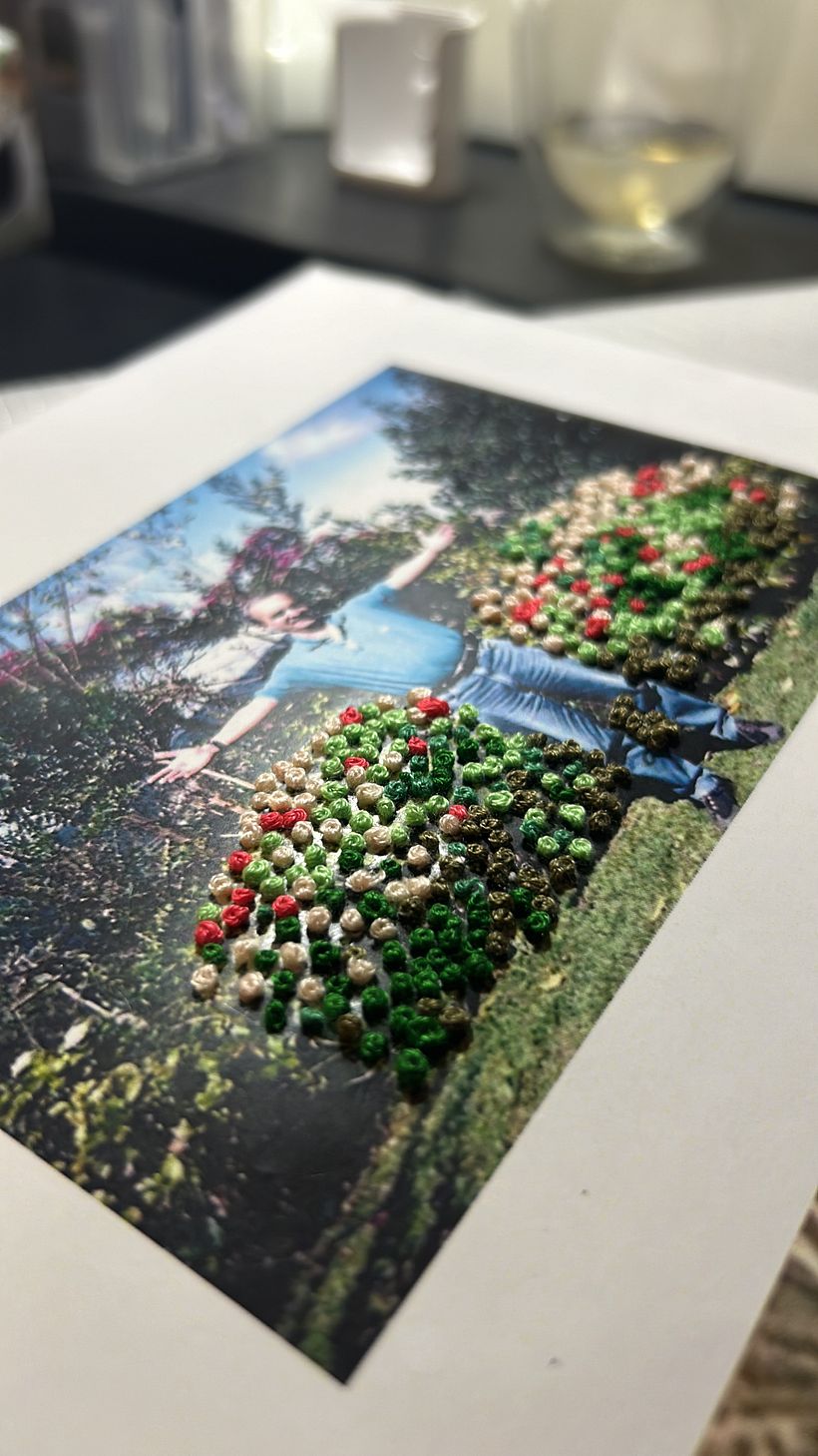 Meu projeto do curso: Introdução ao bordado em fotografias: crie imagens com texturas 2