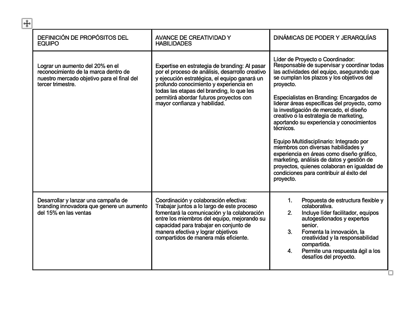 Desarrollo de Áreas de branding 2