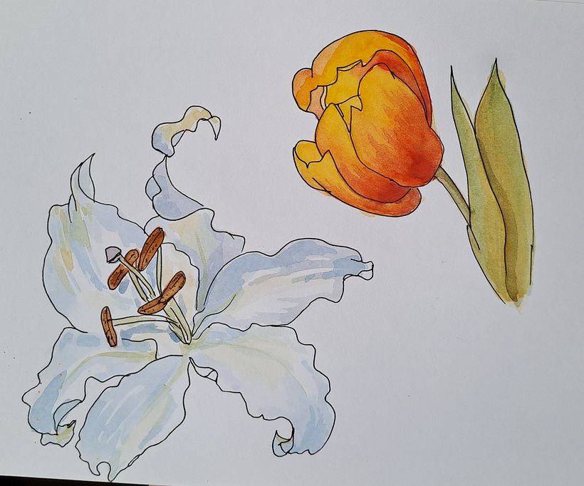 My project for course: Botanical Sketchbooking: A Meditative Approach 4