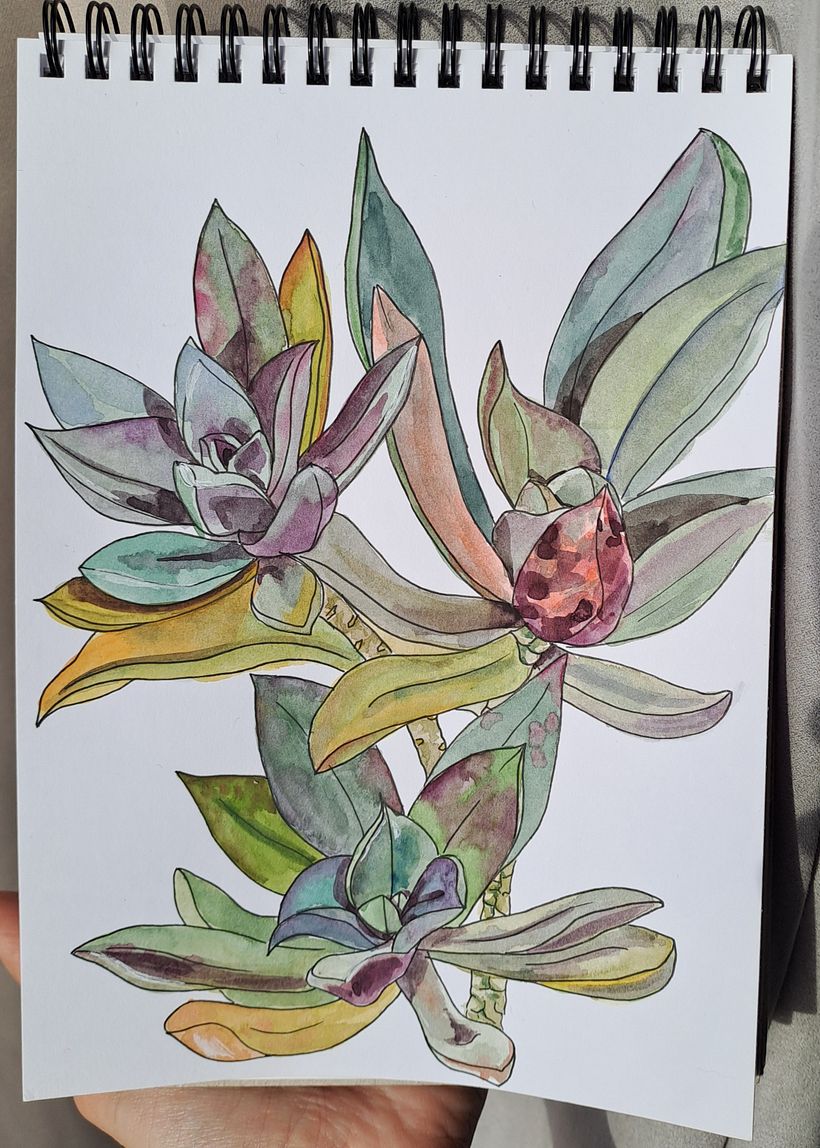 My project for course: Botanical Sketchbooking: A Meditative Approach 1