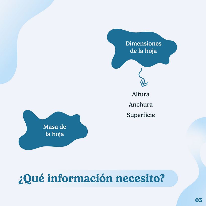 Cálculo del gramaje de una hoja 3