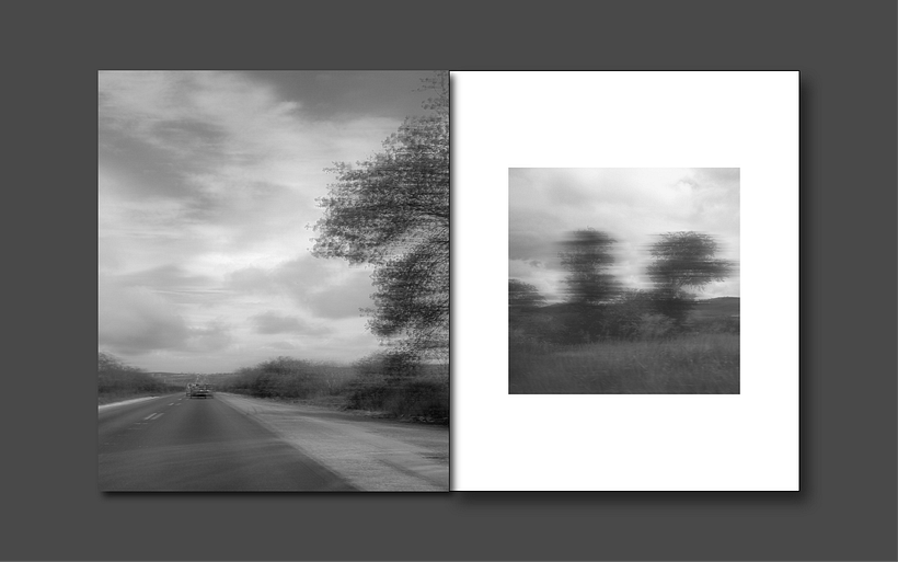 Meu projeto do curso: Design e encadernação de livro de fotos - Diseño