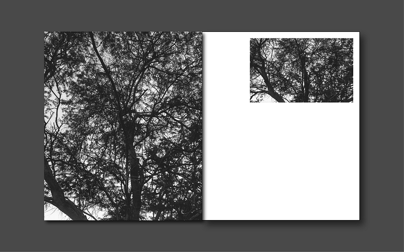 Meu projeto do curso: Design e encadernação de livro de fotos - Diseño