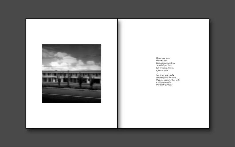 Meu projeto do curso: Design e encadernação de livro de fotos - Diseño