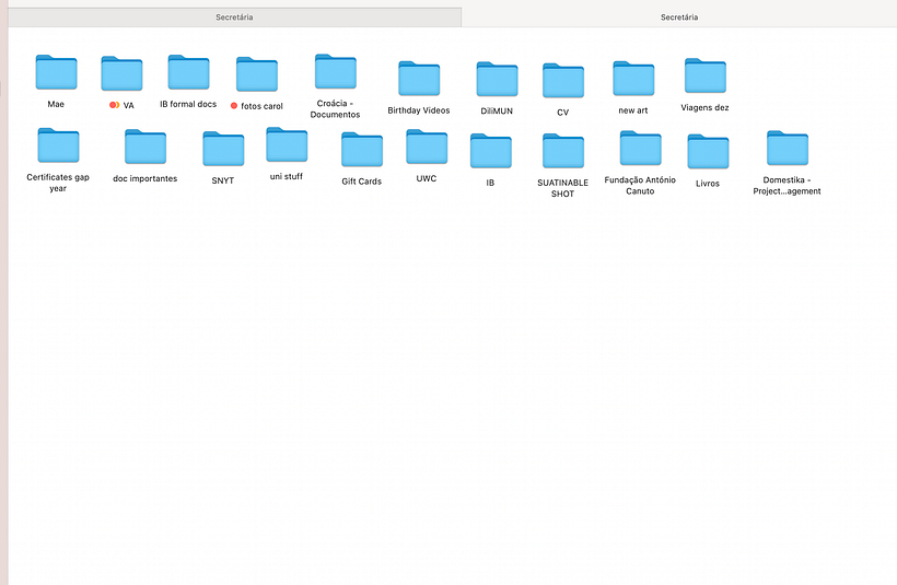 My project for course: Introduction to Project Management 1