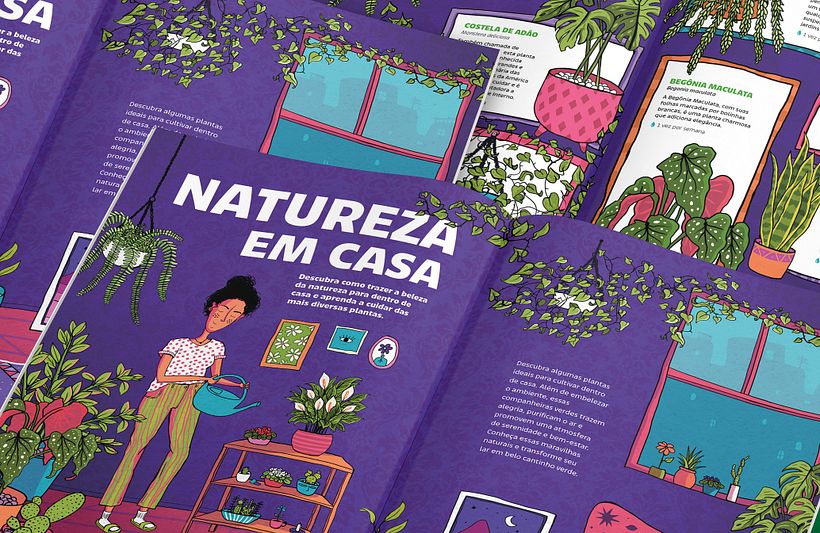 Natureza dentro de casa 1