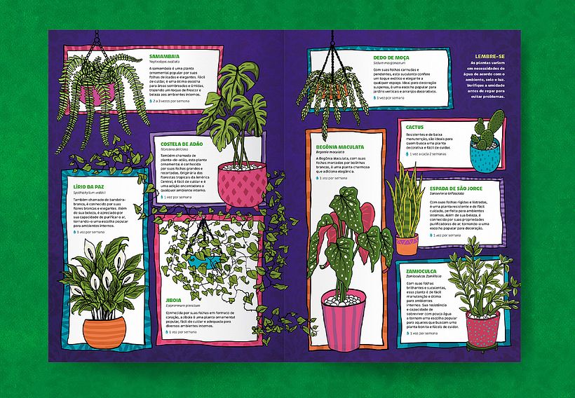 Natureza dentro de casa 4