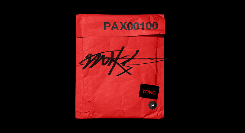 PAX00100 1