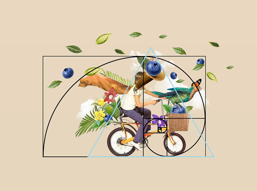 Graphic Design: Composition of Commercial Images, Guillermo Flores