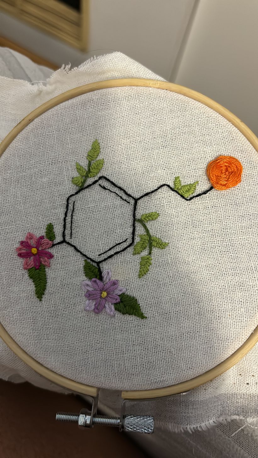 Mi proyecto del curso: Técnicas básicas de bordado: puntadas, composiciones y gamas cromáticas 1