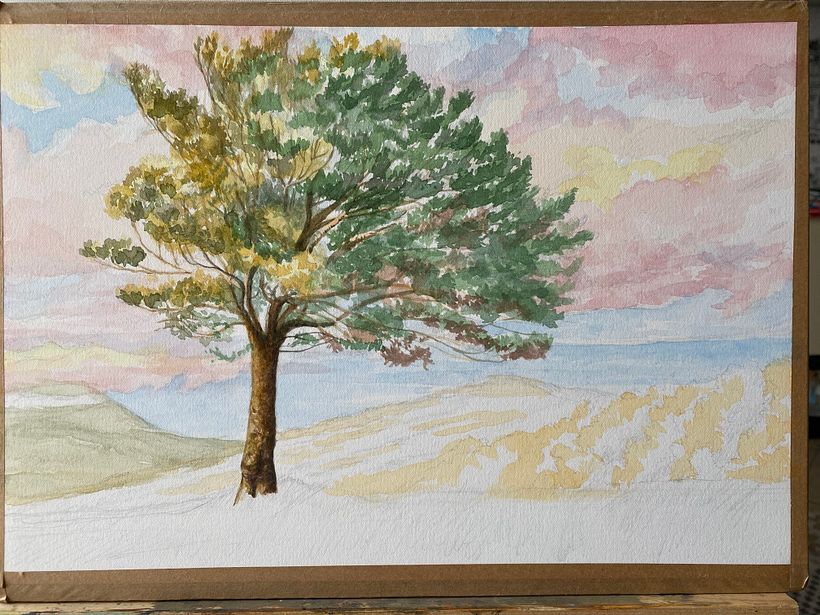 Primi strati di colore / The colors I used