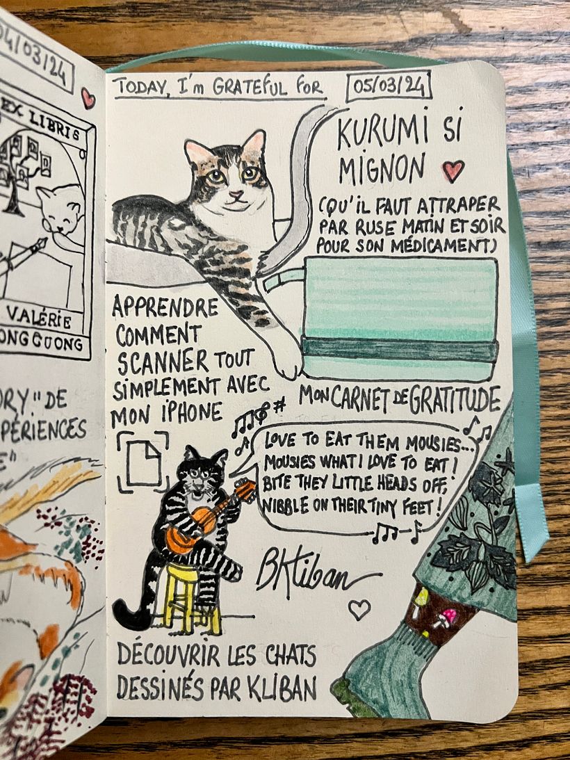 Our Kurumi, that we have to catch by ruse morning and night for his medication. Smiling at Kliban cats, learning to scan.
