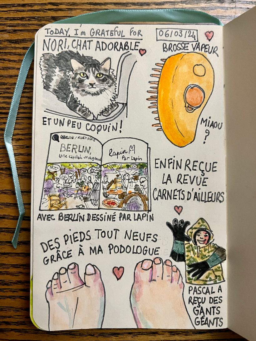 Getting a new brush for our cats, receiving a magazine with Lapin's urban sketching of Berlin, getting my feet fixed