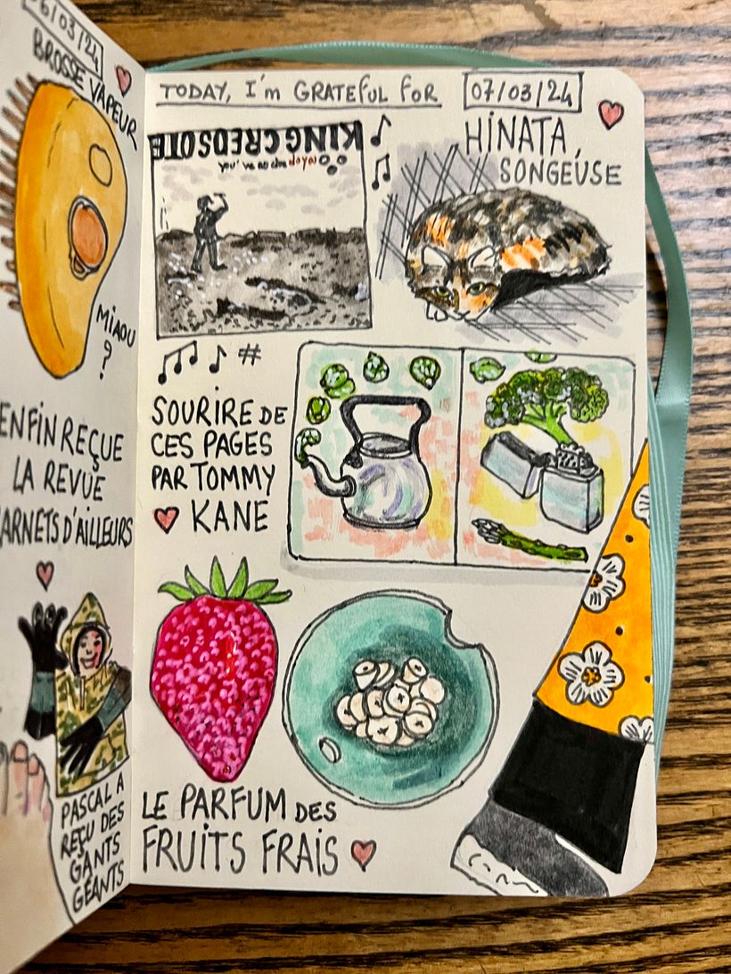 Song by King Creosote ;-) Smiling because of Tommy Kane's sketchbook, smelling freshly cut fruits <3