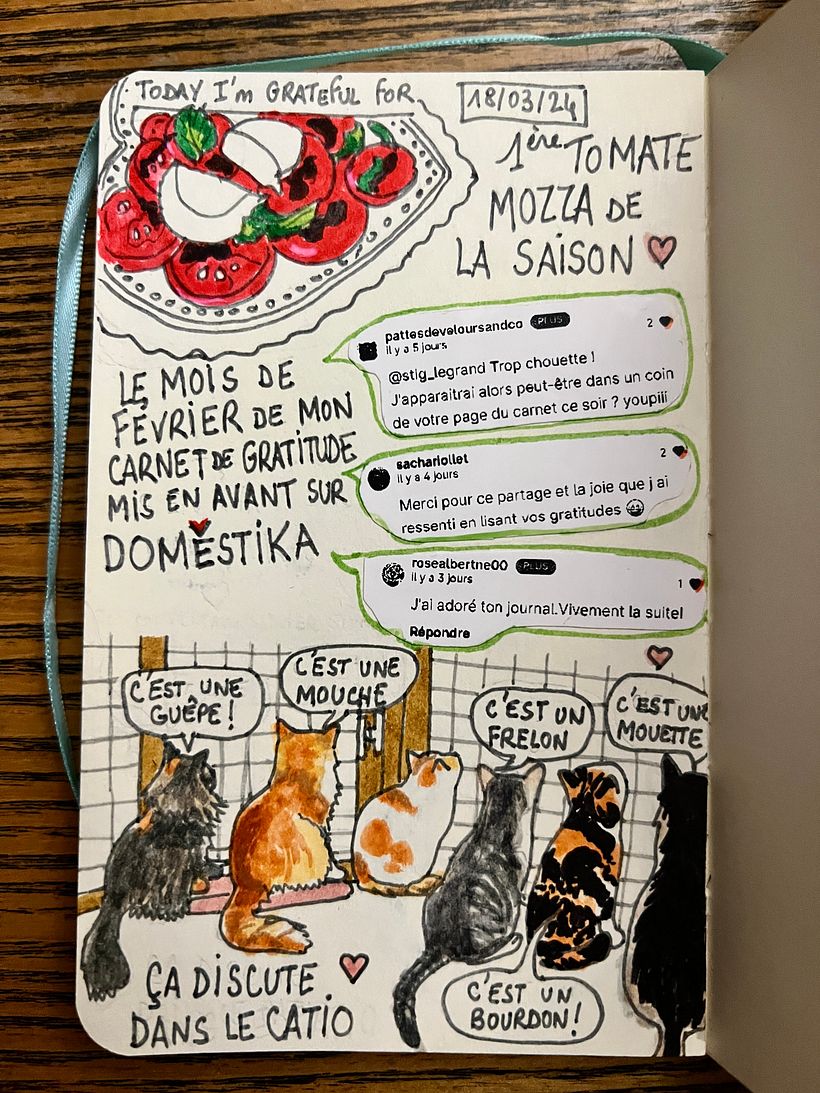 1st mozzarella tomato salad of the season, Potichats in the catio, February featured by Domestika and many nice feedbacks