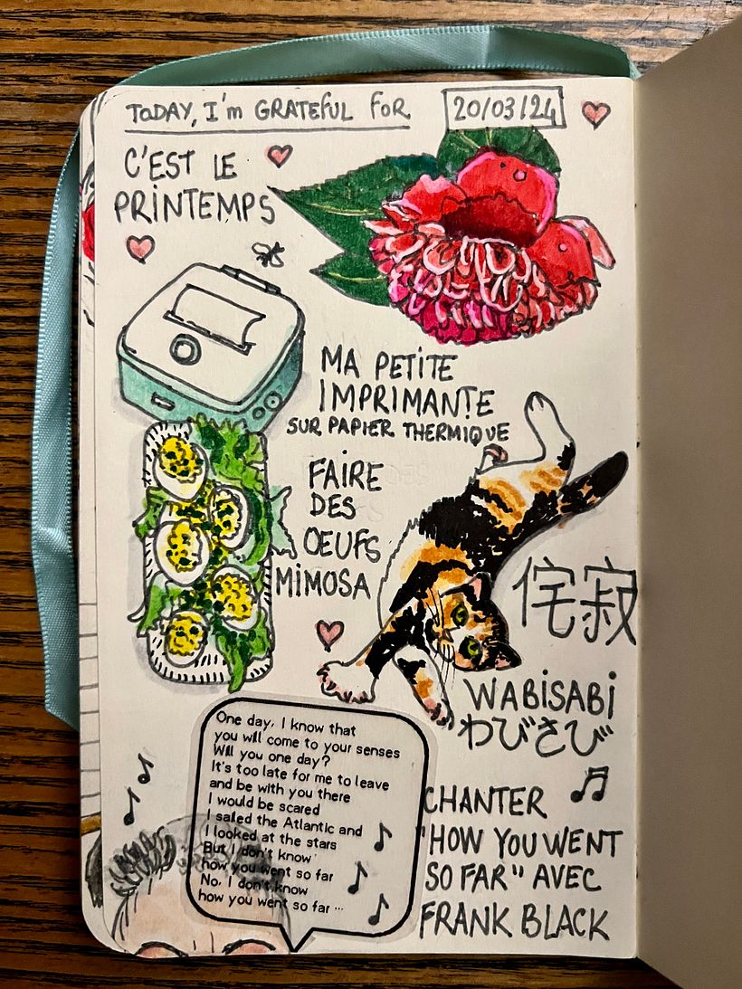 My camellias bloomings; making devilled eggs; trying out my new little printer for text on my sketchbook pages... <3