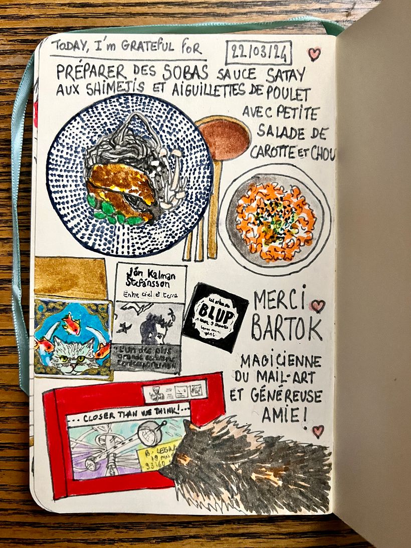 Getting amazing mail ! All presents from my friend Bartok <3 I make sobas with shimeji mushrooms, and chicken breast