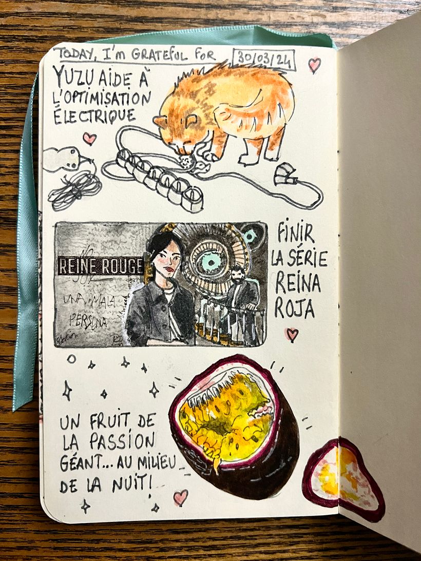 Fixing electrical issues with help from Potichats; watching series Reina Roja; enjoying a large passion fruit after midnight
