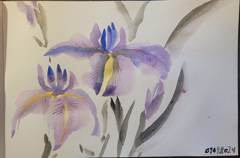 Iris