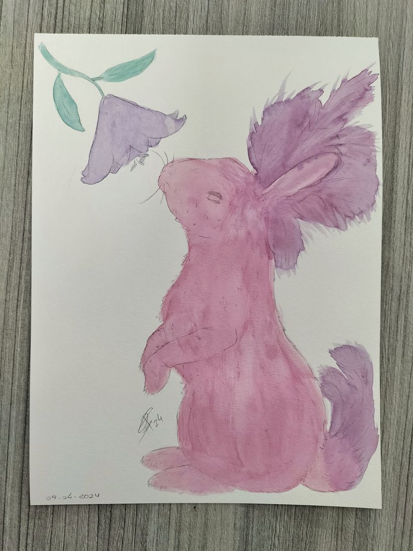 Aquarelas