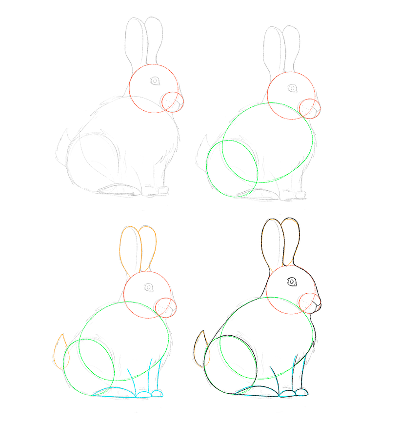 How to Draw A Rabbit (+Free Download) 1