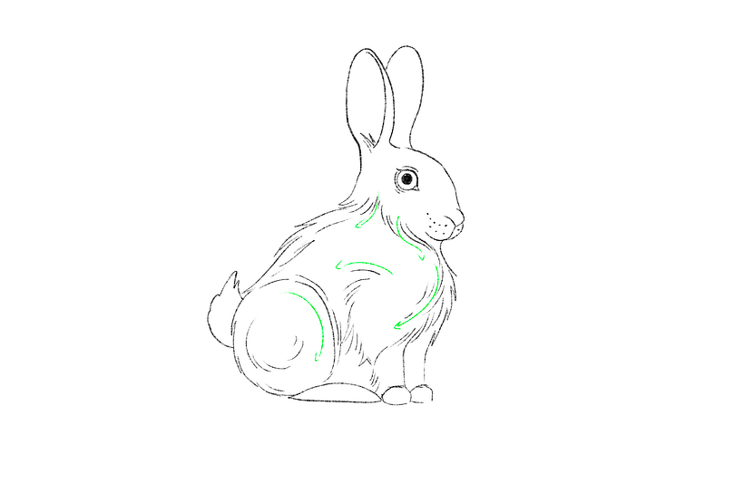 How to Draw A Rabbit (+Free Download) 3