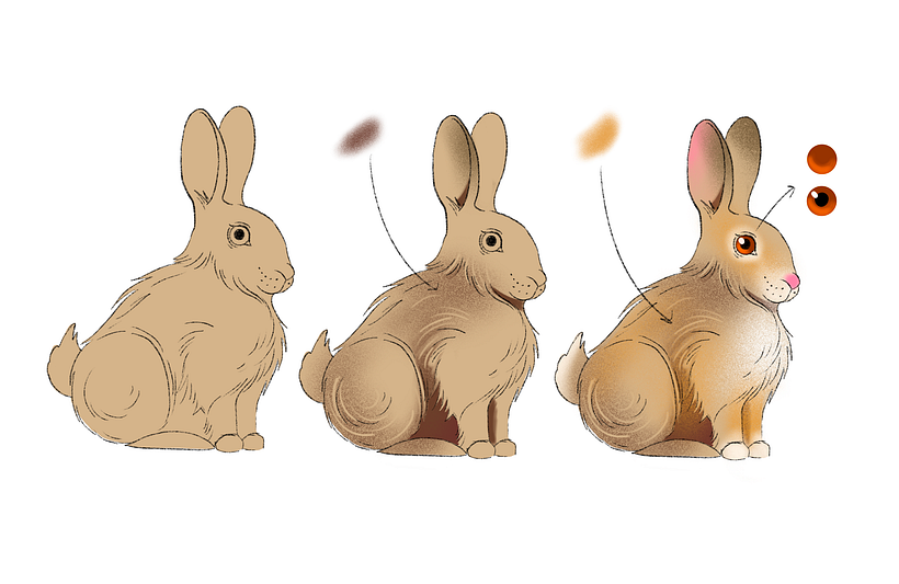 How to Draw A Rabbit (+Free Download) 6
