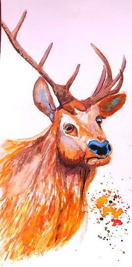 Mi proyecto del curso: Retratos expresivos de animales en acuarela 4