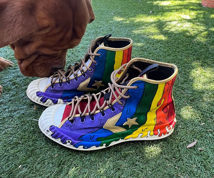 Proud sneakers  6