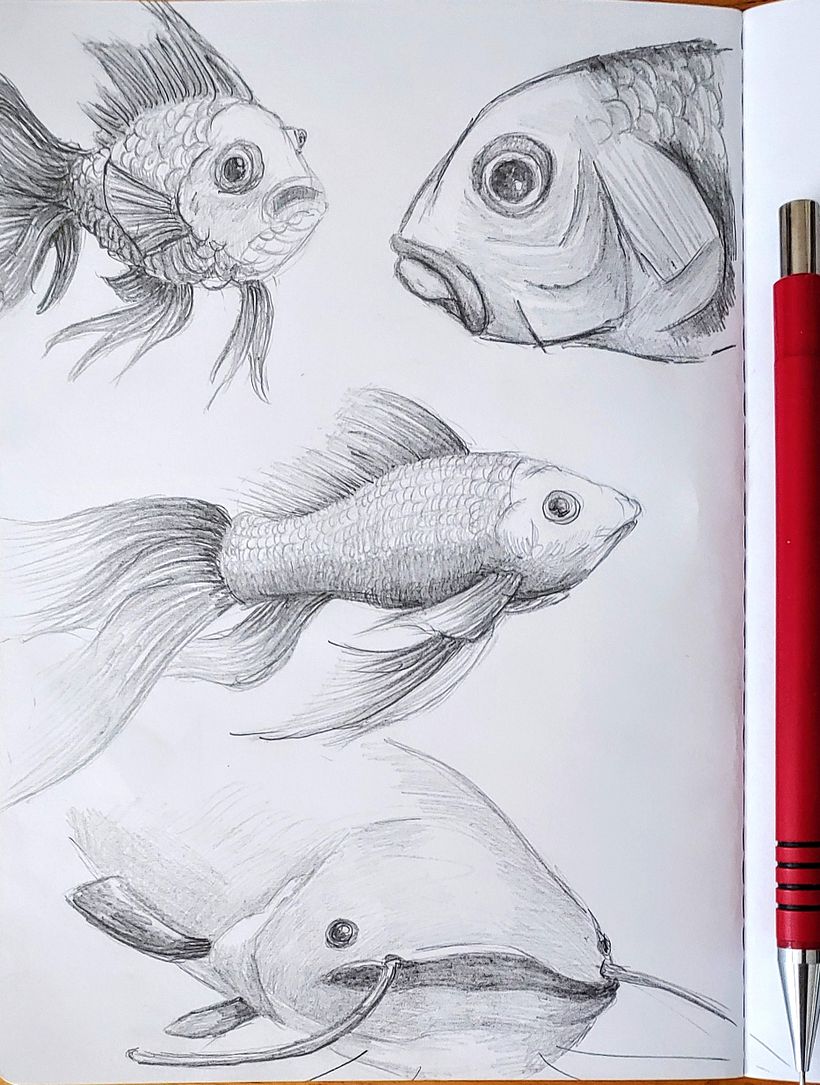My project for course: Daily Sketching for Creative Inspiration 1