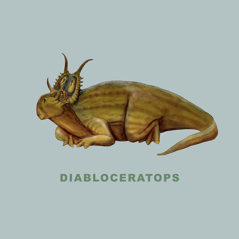 Ceratopsidae 6