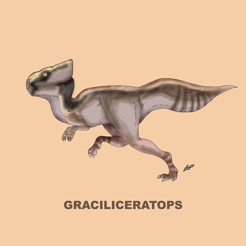 Ceratopsidae 7