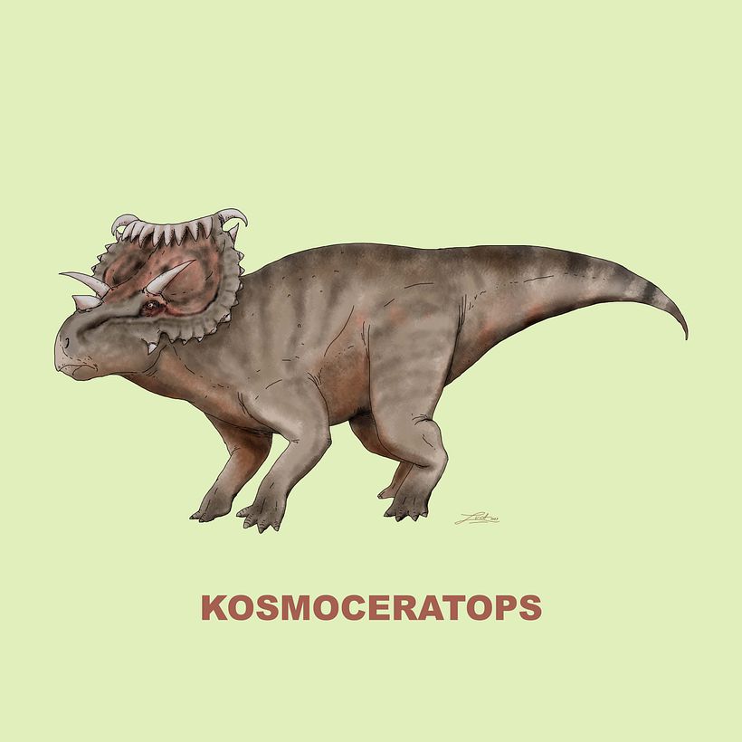 Ceratopsidae 9