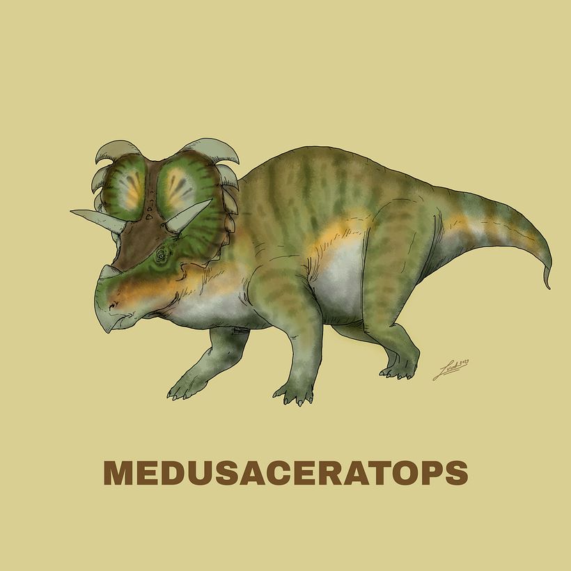 Ceratopsidae 10